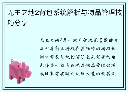 无主之地2背包系统解析与物品管理技巧分享